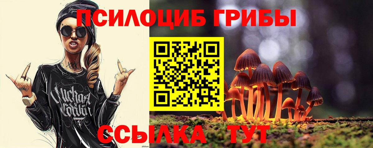 Галлюциногенные грибы Cubensis  Вход с VPN  Орехово-Зуево 