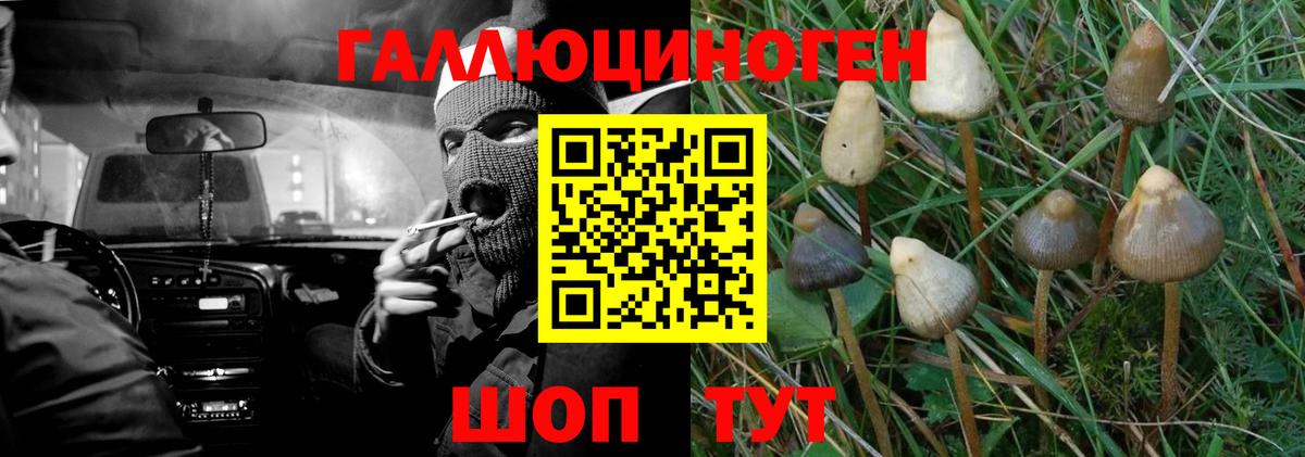 Галлюциногенные грибы Magic Shrooms Орехово-Зуево